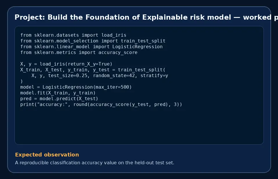 Code example for Project: Build the Foundation of Explainable risk model with the expected observation.