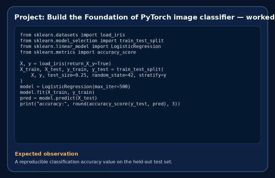 Code example for Project: Build the Foundation of PyTorch image classifier with the expected observation.