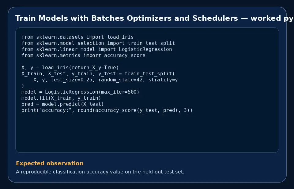 Code example for Train Models with Batches Optimizers and Schedulers with the expected observation.