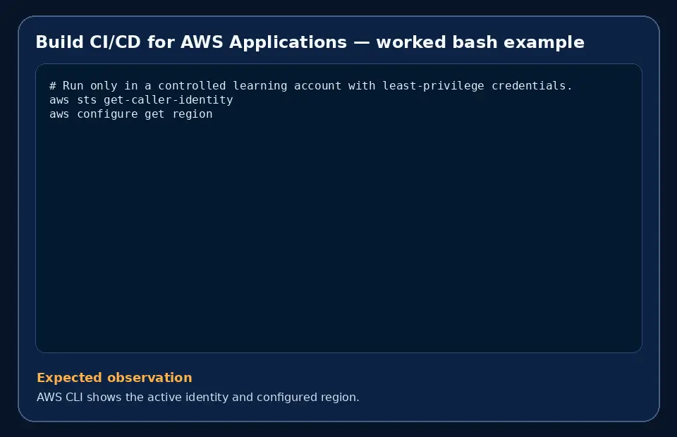 Code example for Build CI/CD for AWS Applications with the expected observation.