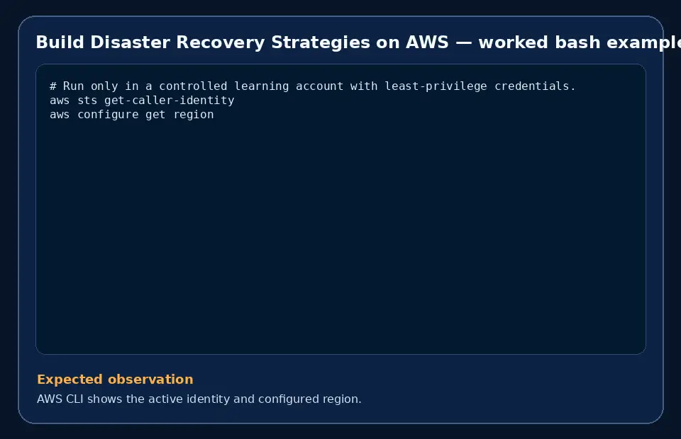 Code example for Build Disaster Recovery Strategies on AWS with the expected observation.