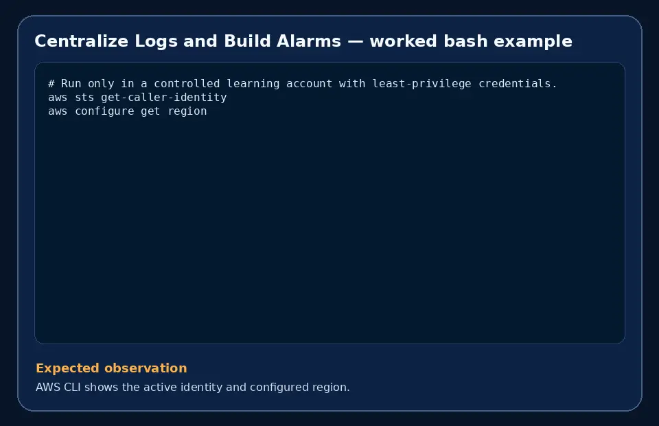Code example for Centralize Logs and Build Alarms with the expected observation.