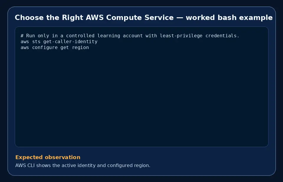 Code example for Choose the Right AWS Compute Service with the expected observation.