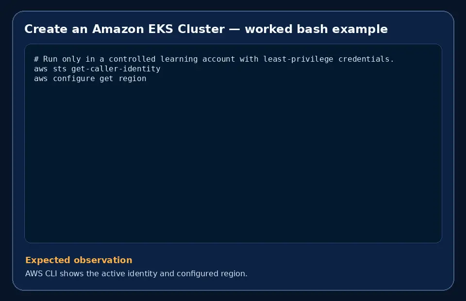 Code example for Create an Amazon EKS Cluster with the expected observation.