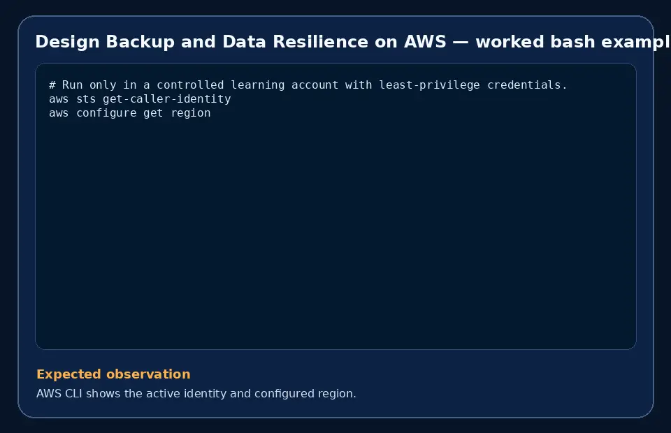 Code example for Design Backup and Data Resilience on AWS with the expected observation.