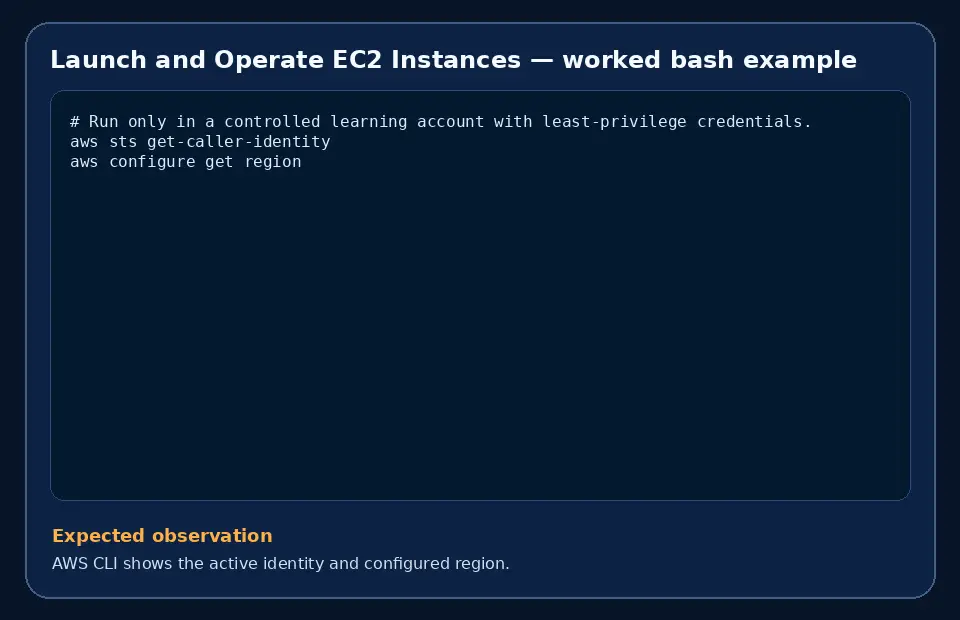 Code example for Launch and Operate EC2 Instances with the expected observation.
