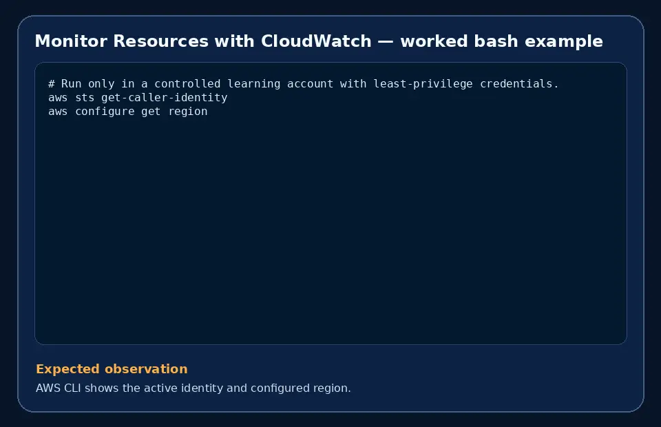 Code example for Monitor Resources with CloudWatch with the expected observation.