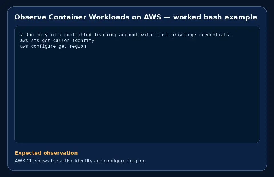 Code example for Observe Container Workloads on AWS with the expected observation.