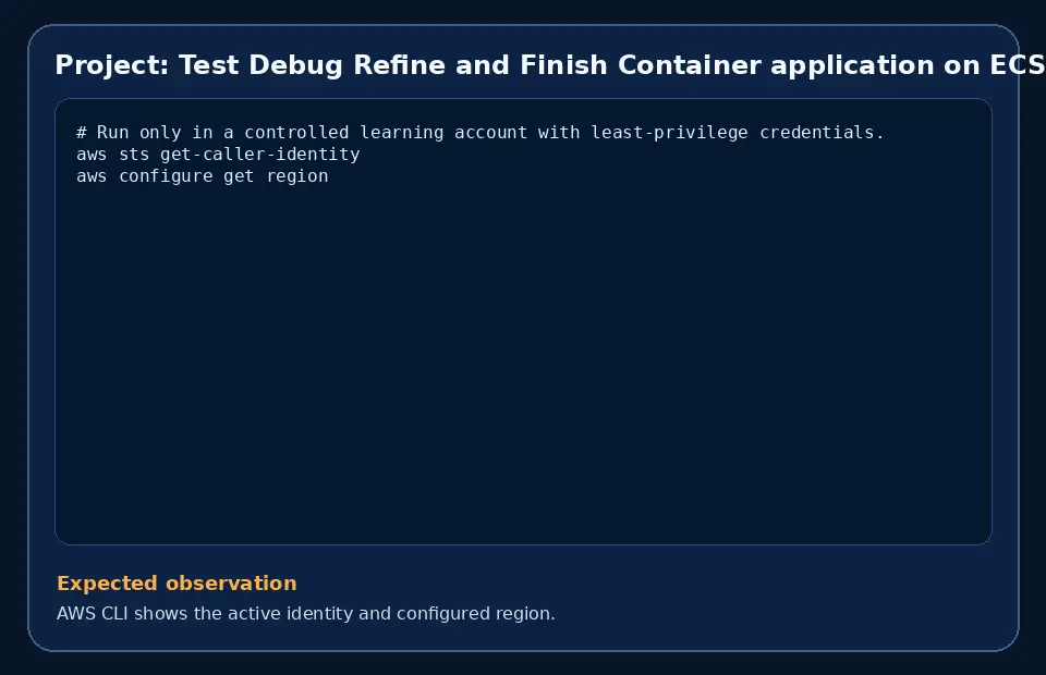 Code example for Project: Test Debug Refine and Finish Container application on ECS/EKS with the expected observation.