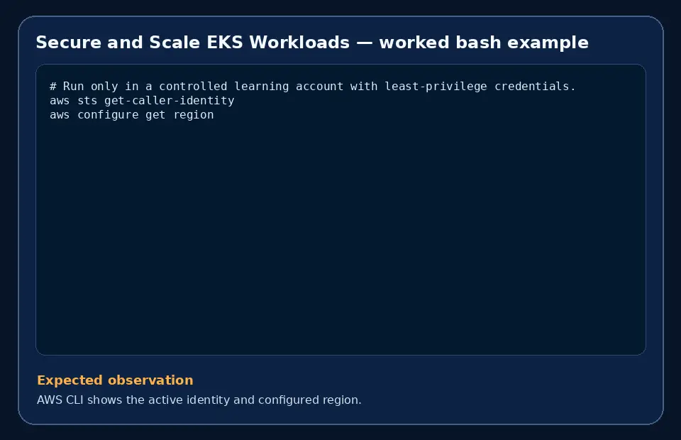 Code example for Secure and Scale EKS Workloads with the expected observation.