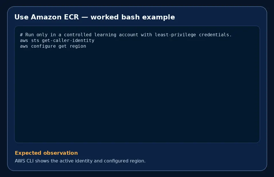 Code example for Use Amazon ECR with the expected observation.