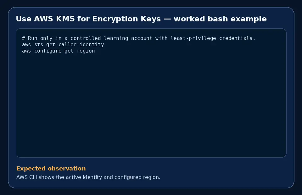 Code example for Use AWS KMS for Encryption Keys with the expected observation.