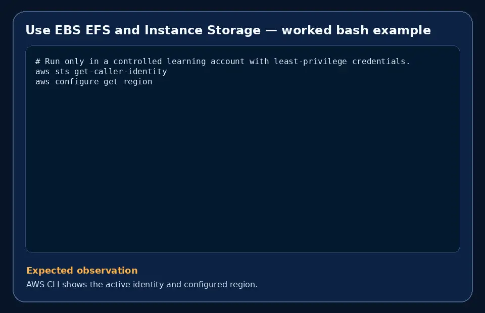 Code example for Use EBS EFS and Instance Storage with the expected observation.