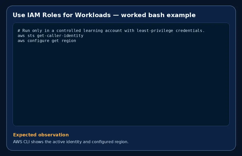 Code example for Use IAM Roles for Workloads with the expected observation.