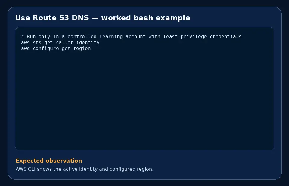 Code example for Use Route 53 DNS with the expected observation.