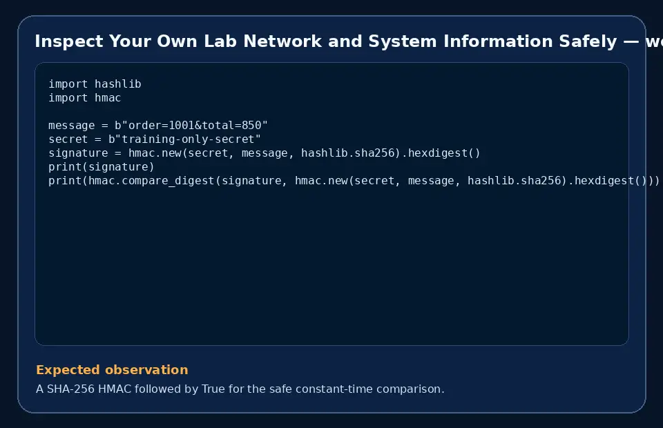 Code example for Inspect Your Own Lab Network and System Information Safely with the expected observation.