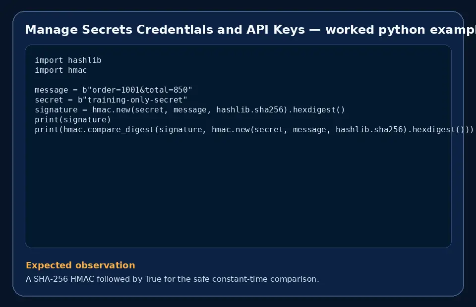 Code example for Manage Secrets Credentials and API Keys with the expected observation.