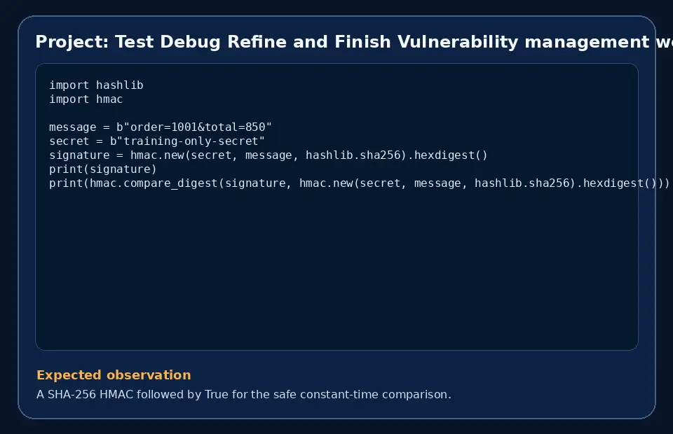 Code example for Project: Test Debug Refine and Finish Vulnerability management workflow with the expected observation.