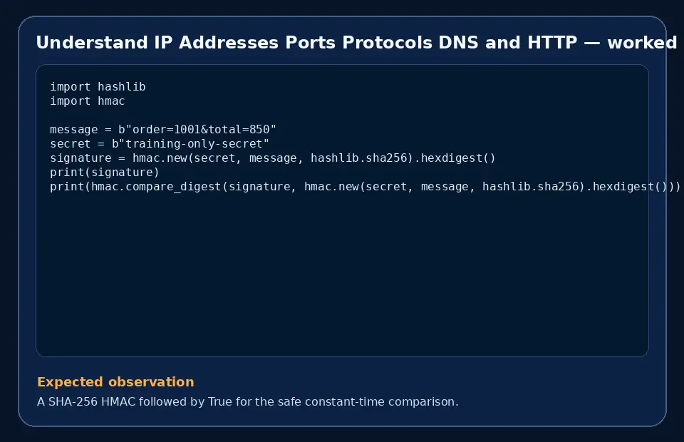 Code example for Understand IP Addresses Ports Protocols DNS and HTTP with the expected observation.