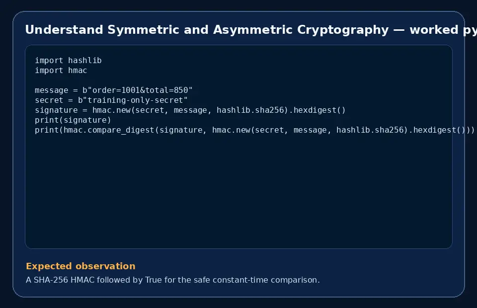 Code example for Understand Symmetric and Asymmetric Cryptography with the expected observation.