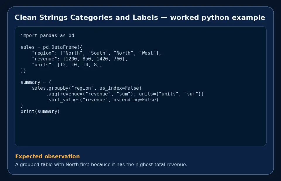 Code example for Clean Strings Categories and Labels with the expected observation.