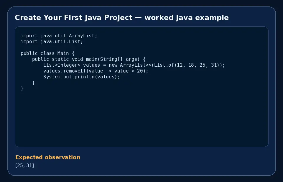 Code example for Create Your First Java Project with the expected observation.