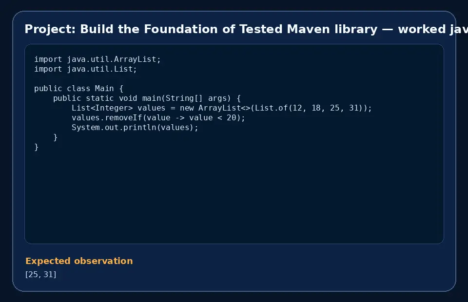 Code example for Project: Build the Foundation of Tested Maven library with the expected observation.