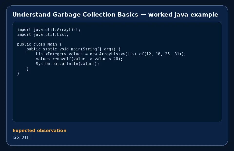 Code example for Understand Garbage Collection Basics with the expected observation.