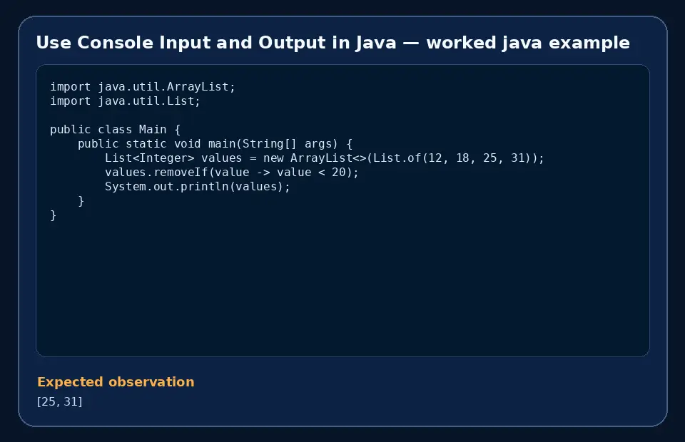 Code example for Use Console Input and Output in Java with the expected observation.