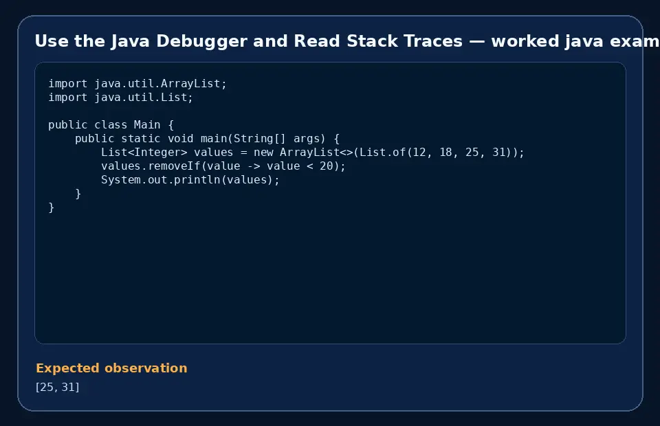 Code example for Use the Java Debugger and Read Stack Traces with the expected observation.