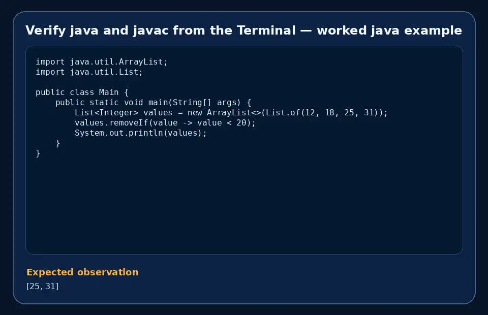 Code example for Verify java and javac from the Terminal with the expected observation.
