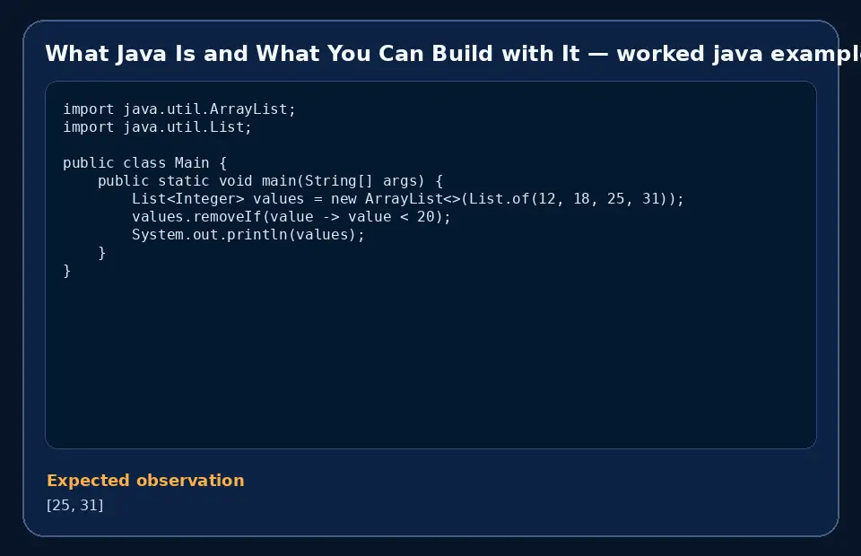 Code example for What Java Is and What You Can Build with It with the expected observation.