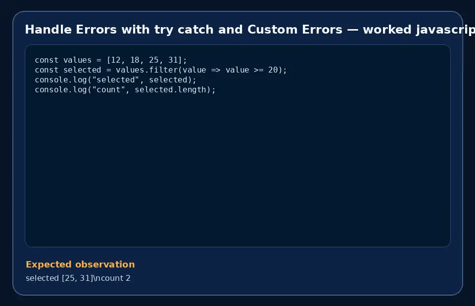 Code example for Handle Errors with try catch and Custom Errors with the expected observation.