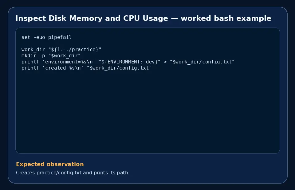 Code example for Inspect Disk Memory and CPU Usage with the expected observation.