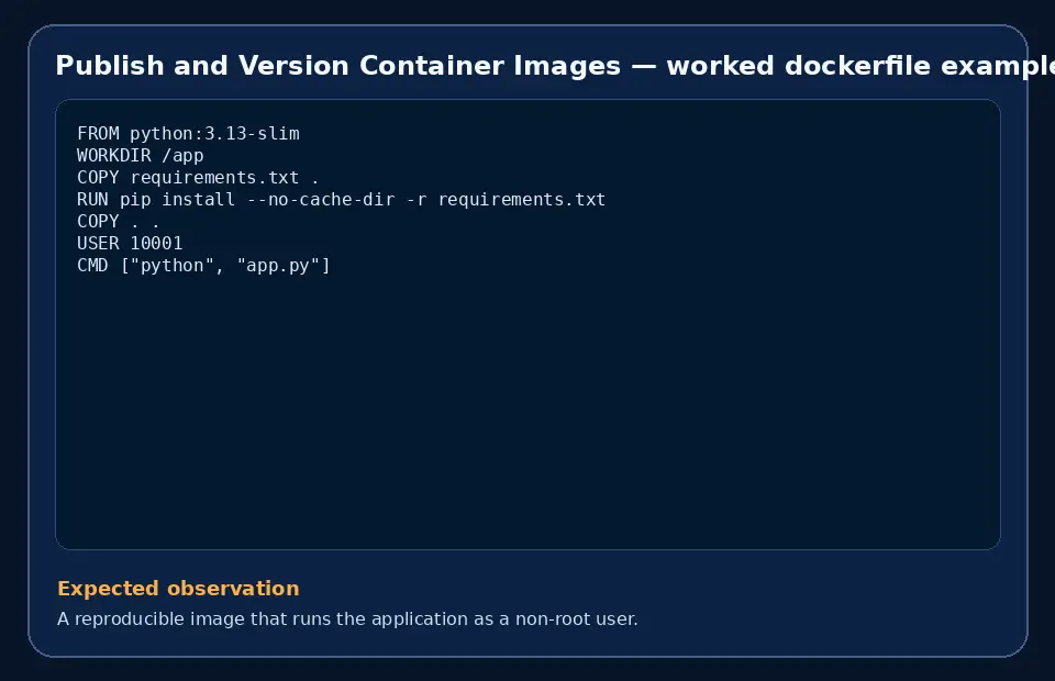 Code example for Publish and Version Container Images with the expected observation.