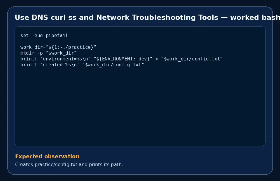Code example for Use DNS curl ss and Network Troubleshooting Tools with the expected observation.