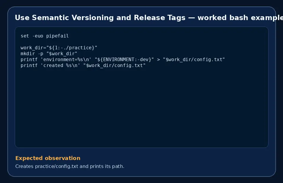 Code example for Use Semantic Versioning and Release Tags with the expected observation.