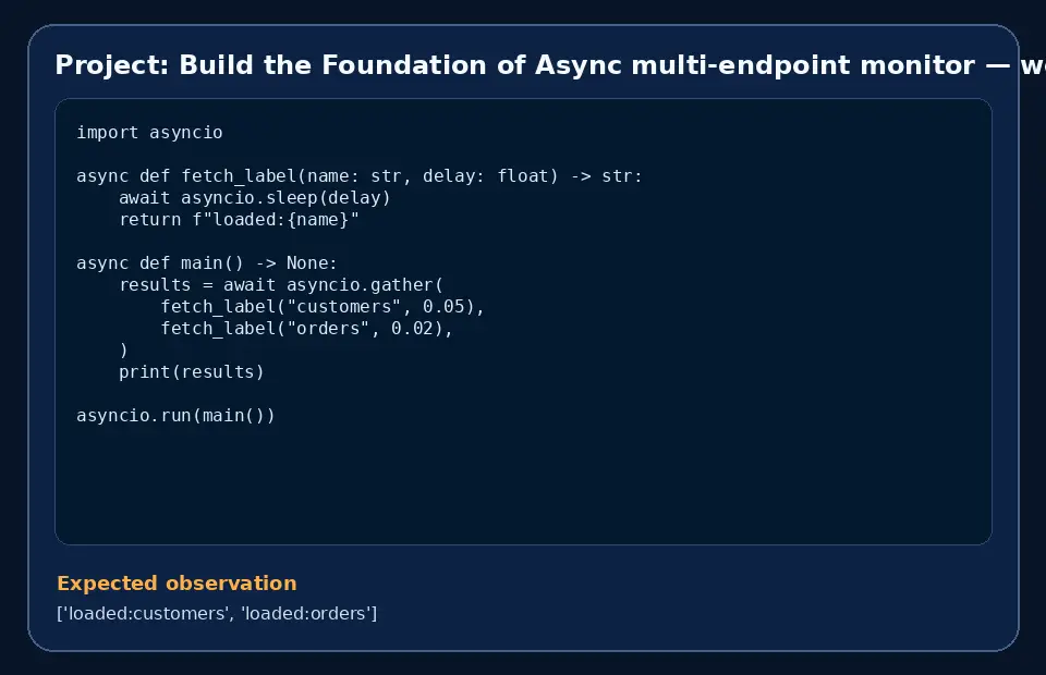Code example for Project: Build the Foundation of Async multi-endpoint monitor with the expected observation.