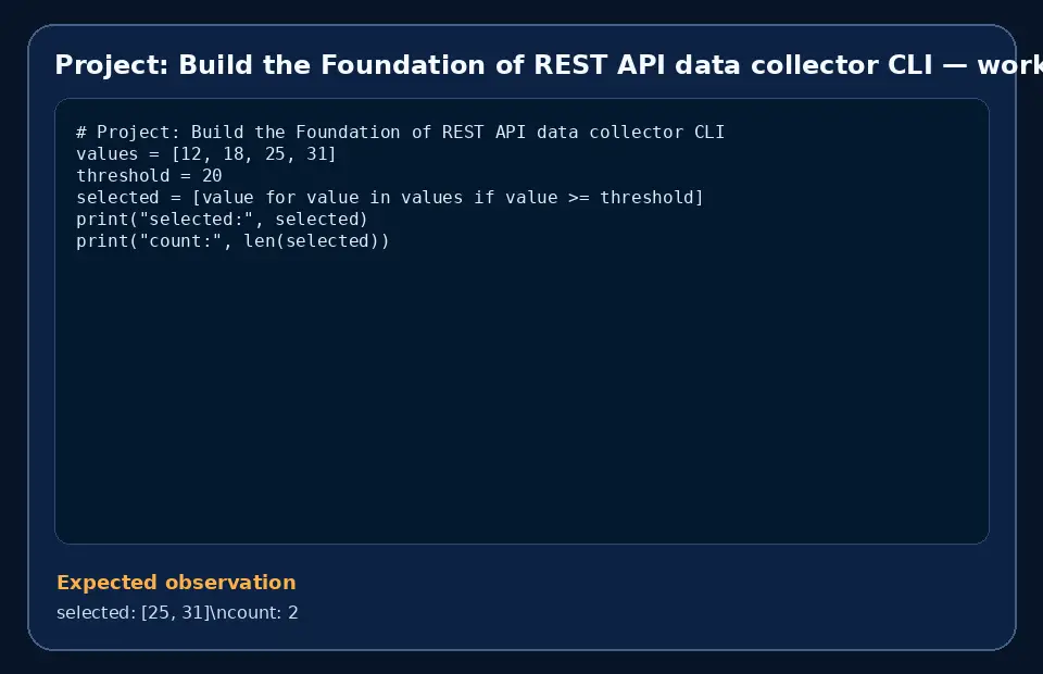 Code example for Project: Build the Foundation of REST API data collector CLI with the expected observation.