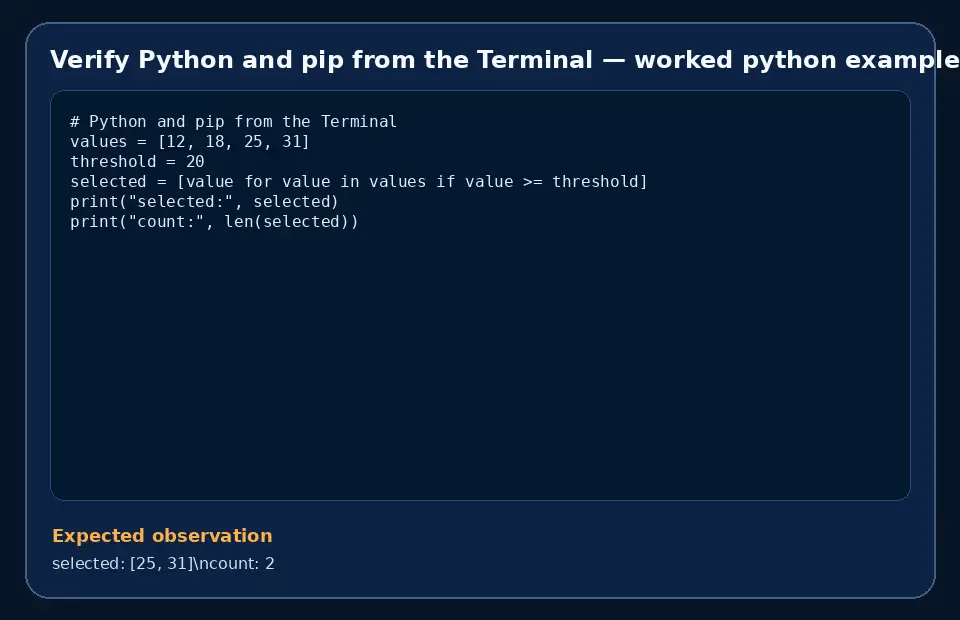Code example for Verify Python and pip from the Terminal with the expected observation.