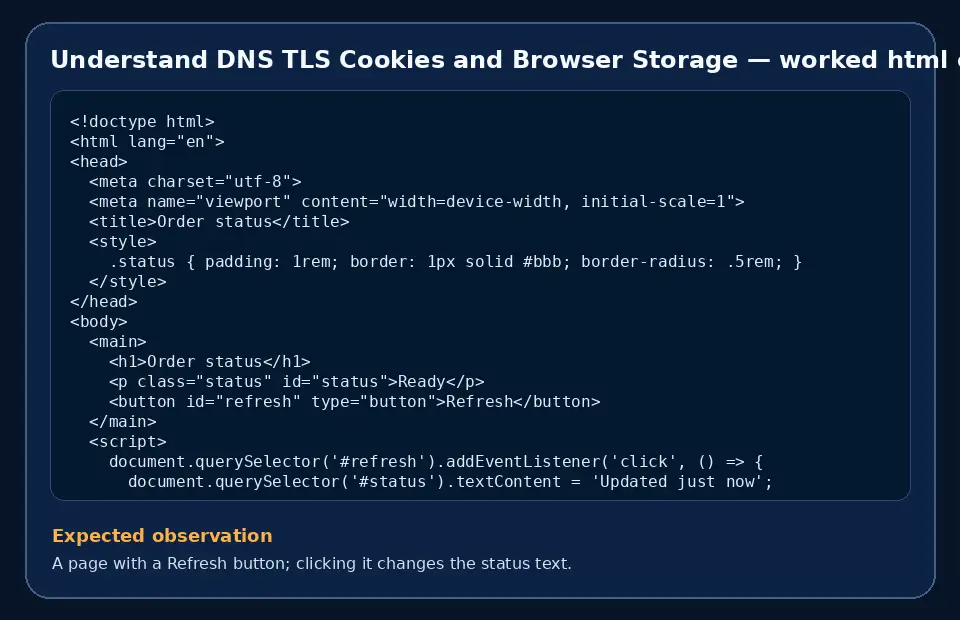 Code example for Understand DNS TLS Cookies and Browser Storage with the expected observation.